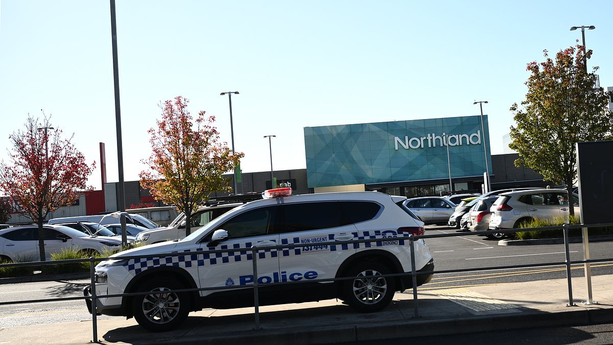 Alarming truth uncovered about 'Chinese police cars' in Australia