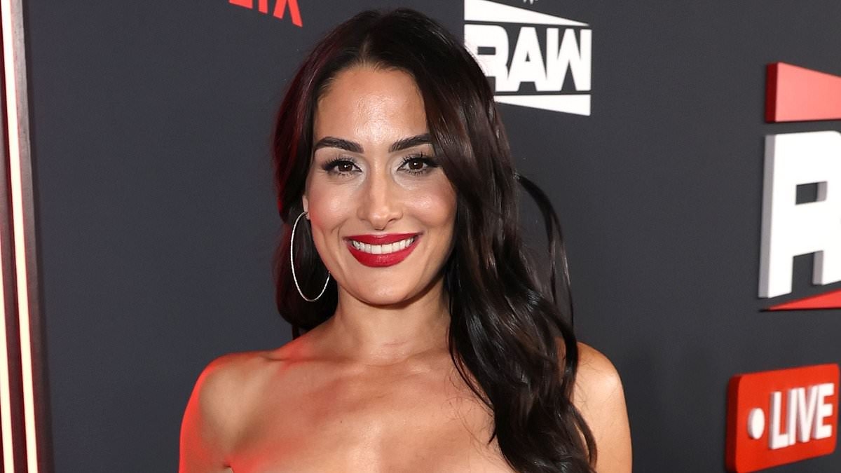 Nikki Bella reveals she's joined dating app months after Artem Chigvintsev divorce