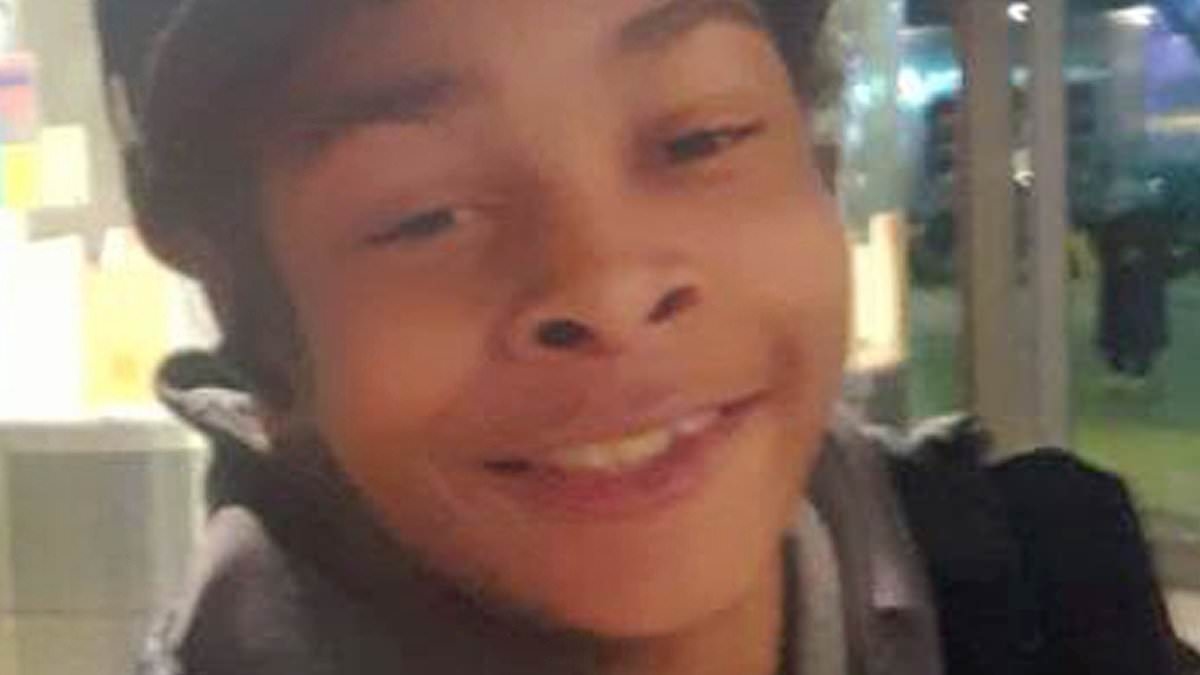 Machete-wielding teens who smiled as they fatally stabbed schoolboy, 14, on bus are jailed for life