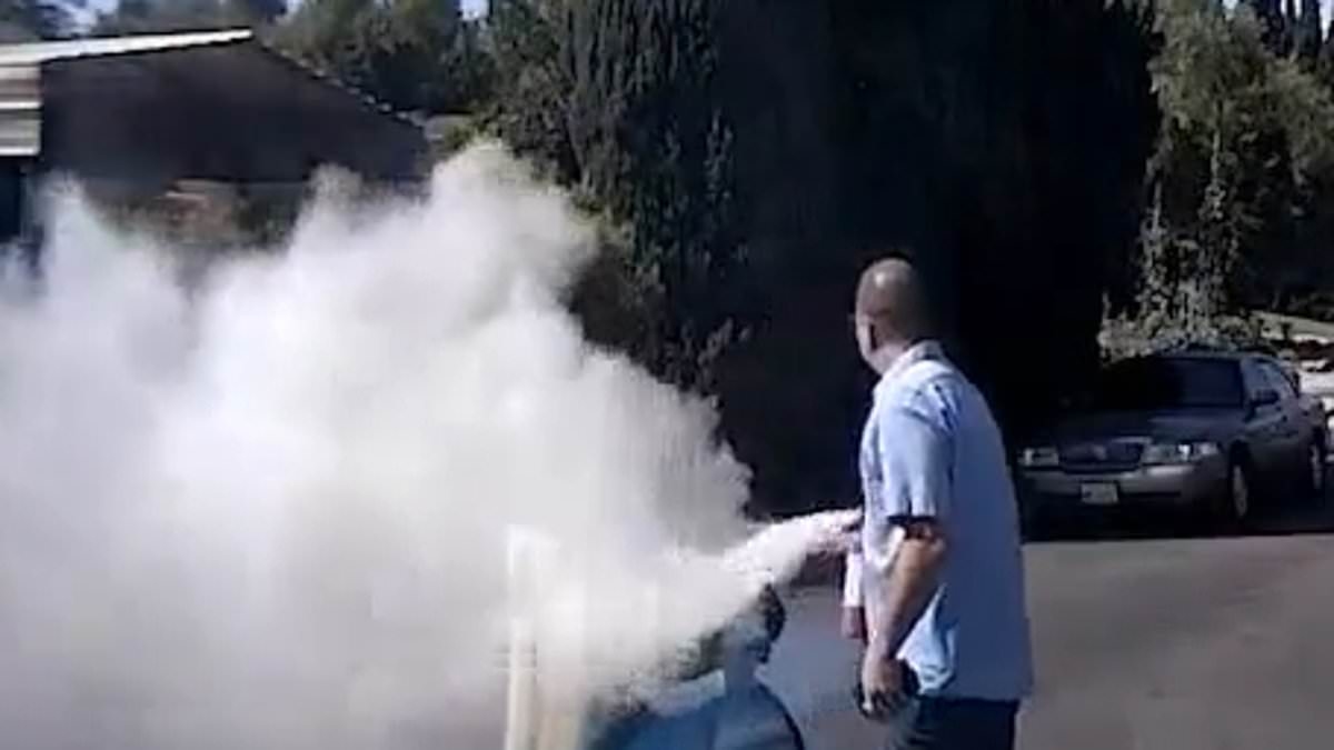 Hundreds of buzzing bees attack woman in her 50s leaving her rolling on the ground and begging for help