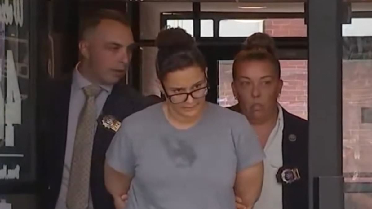 Police finally make arrest after newborn twins were found dumped in rat-infested alley in New York City