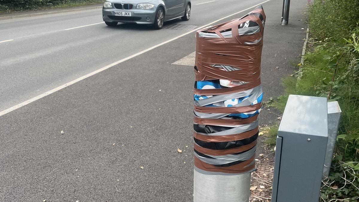 Is this the UK's prolific speed camera? Notorious snapper at blind spot wracked up over £1million in fines in 10 months before being CHOPPED down by renegade motorists