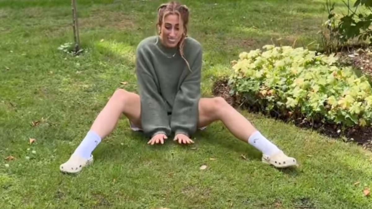 Stacey Solomon gives her dog 'a second chance in life' as she reveals Teddy is now in a wheelchair after his devastating diagnosis