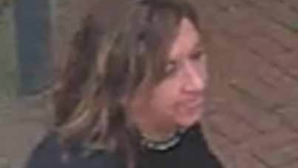 Police hunt for woman who sexually assaulted male train worker as he walked through carriage