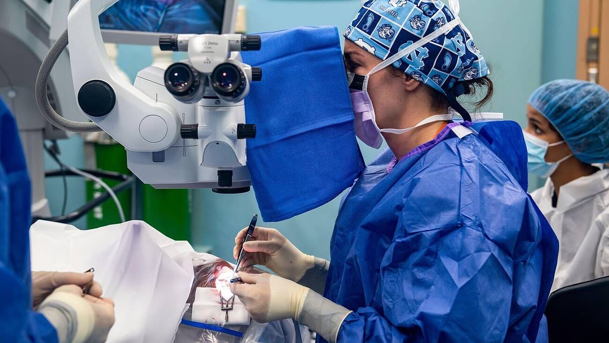 Investigation launched into SNP ministers over huge eye operation delays as thousands of Scots are forced to go private