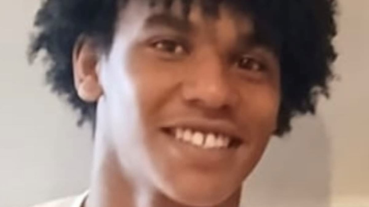 Family pay tribute to boy, 15, who died in collision between car and e-bike - as man, 59, is charged with murder