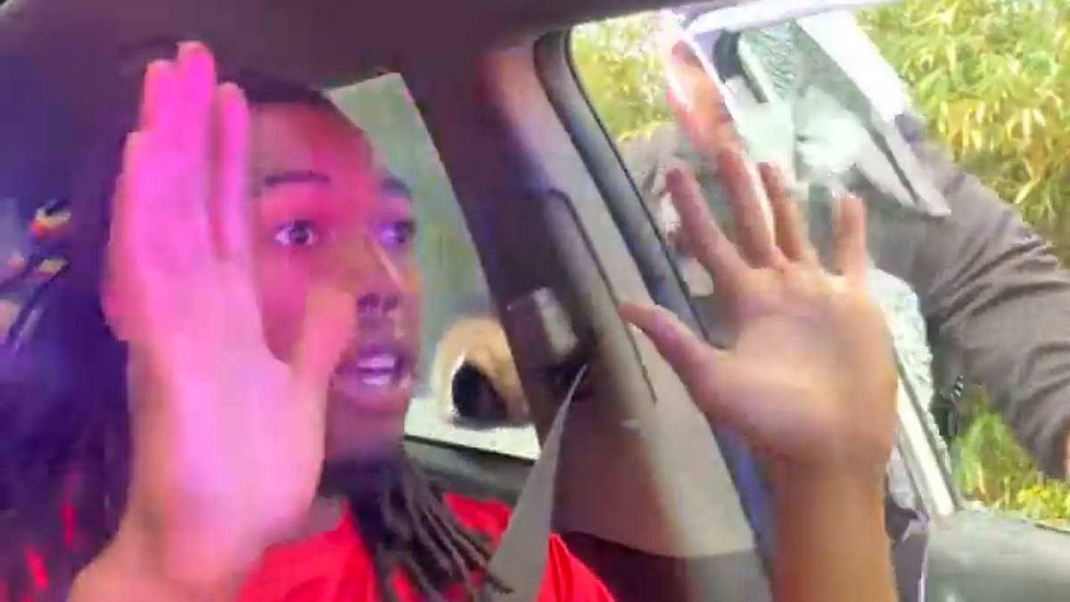 Florida mayor urges calm after dramatic arrest of driver whose window was smashed by police