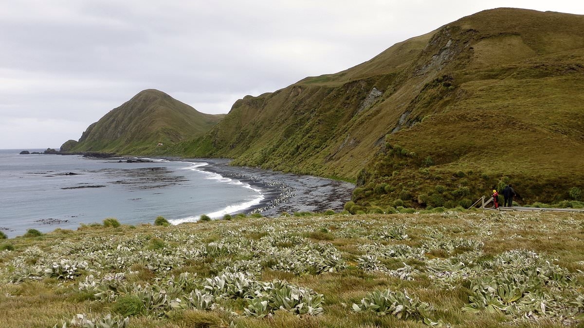 Magnitude 6.2 earthquake strikes Macquarie Island region - making it the second one in just two days