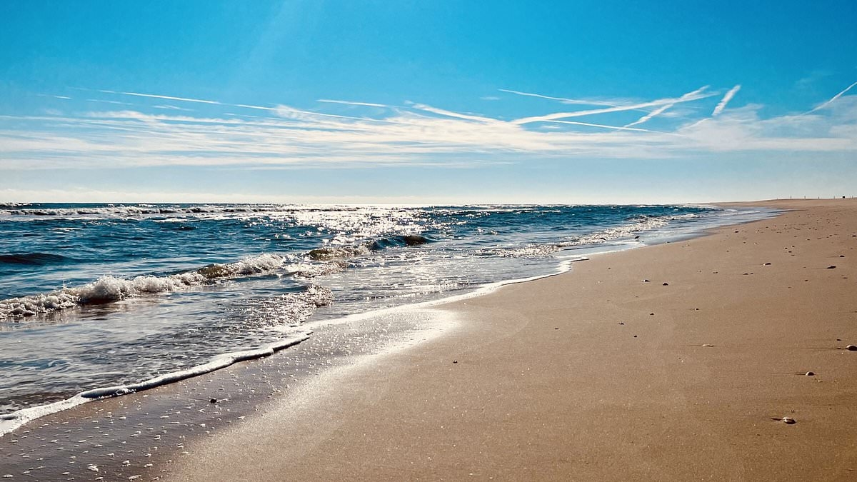 Teen, 18, drowns at popular Maryland beach just days after officials slammed lifeguard shortage