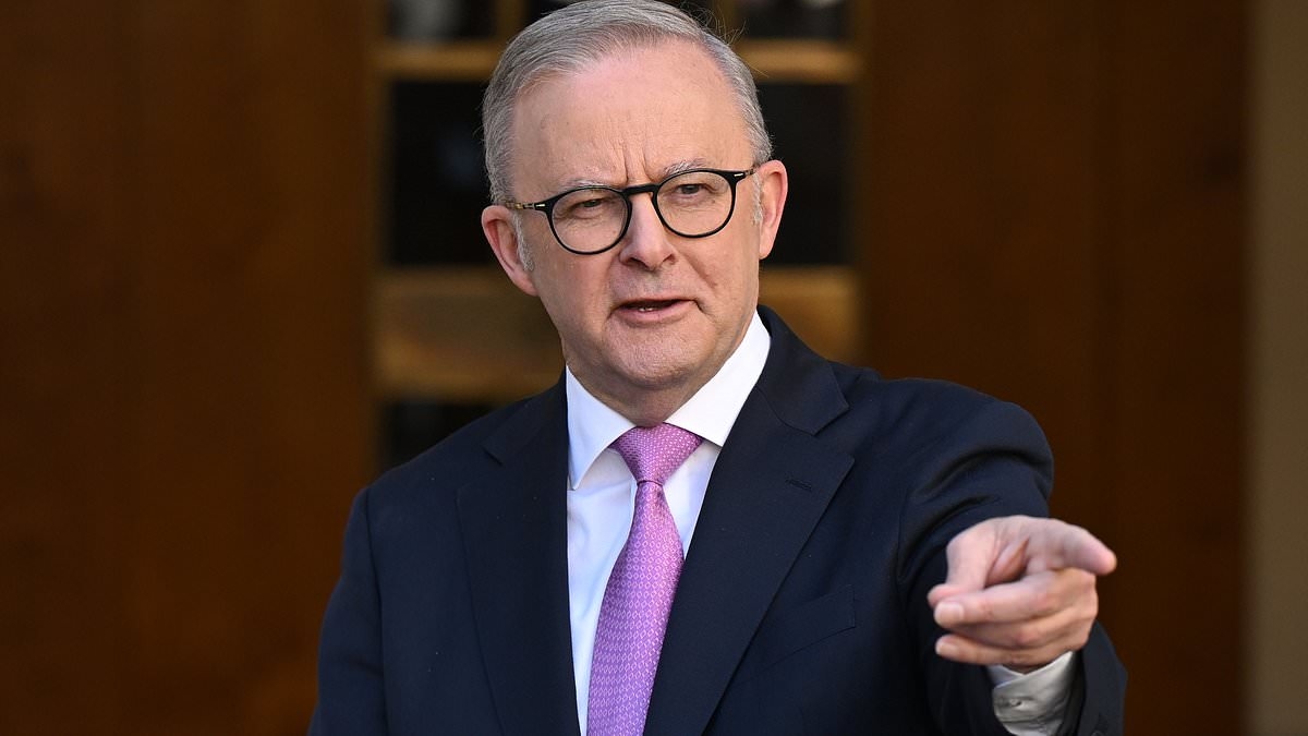 Anthony Albanese makes a big call about Australia's stance on Palestine - as outrage grows over civilians suffering in Gaza