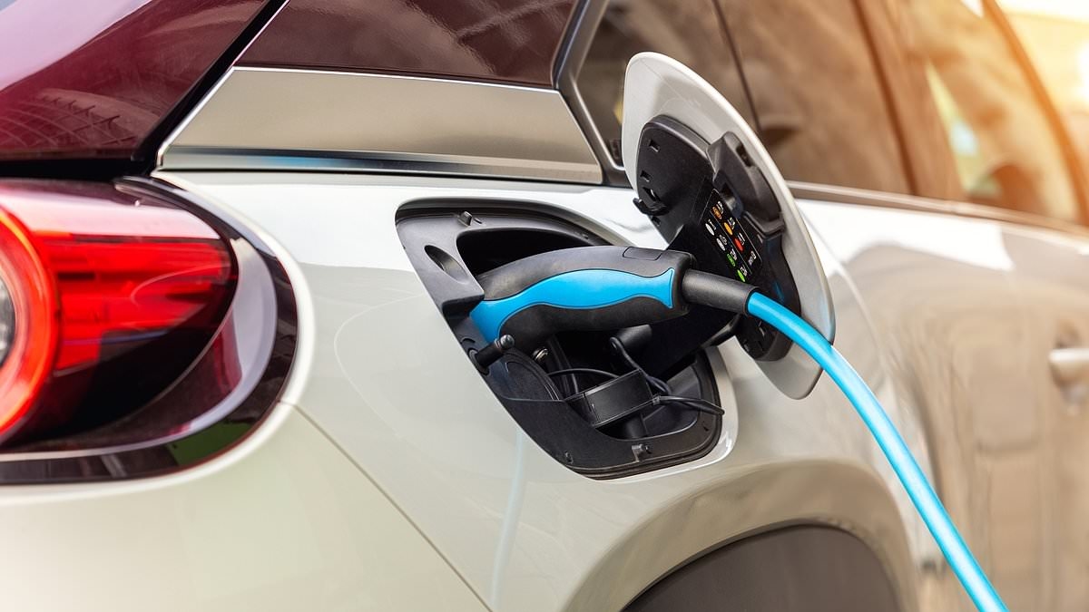 Charging point shortage dents demand for EVs