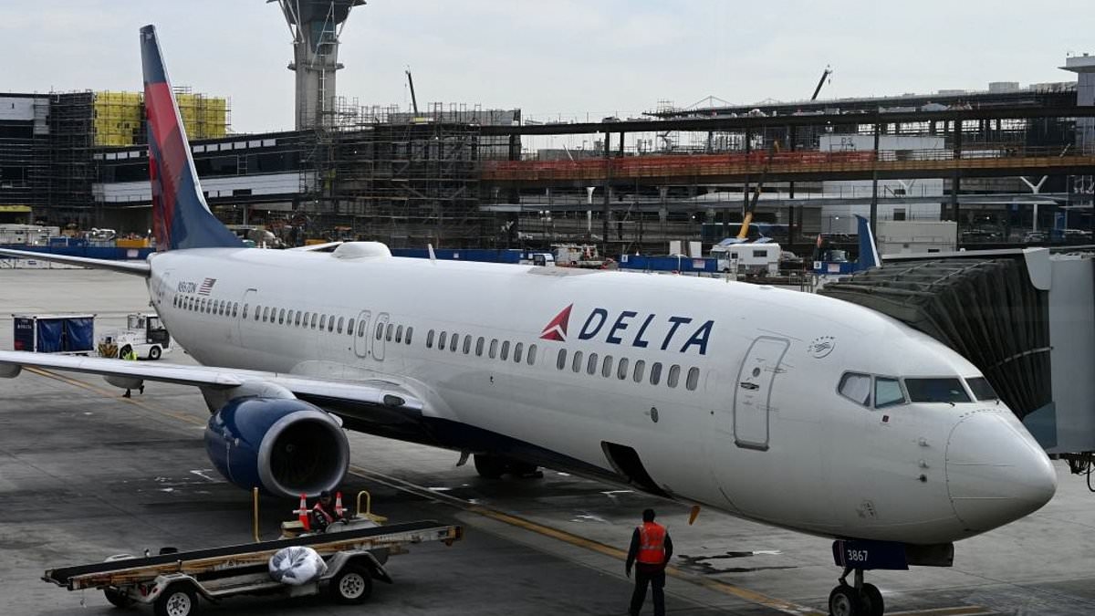Shocking moment federal air marshals 'stormed the cockpit' of Delta flight and arrested co-pilot