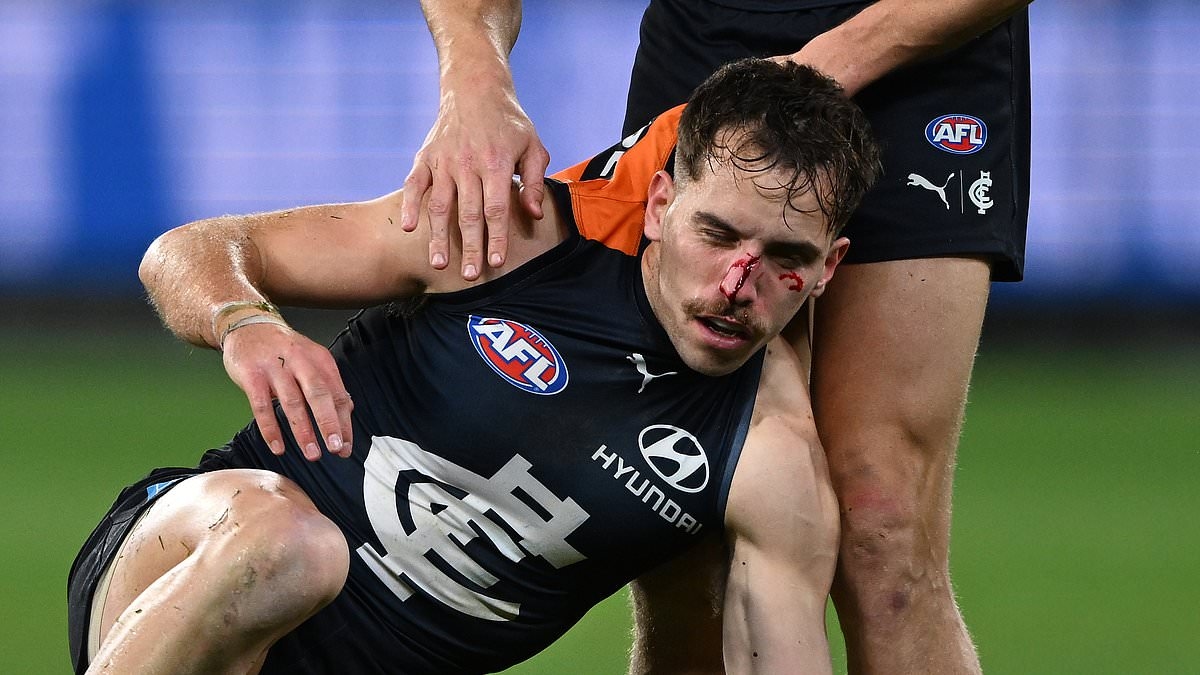 Footy legend blasts the AFL for taking all the manliness out of the sport in a woke attack on the game