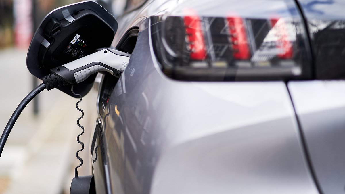 Lack of charging points curbs electric vehicle demand