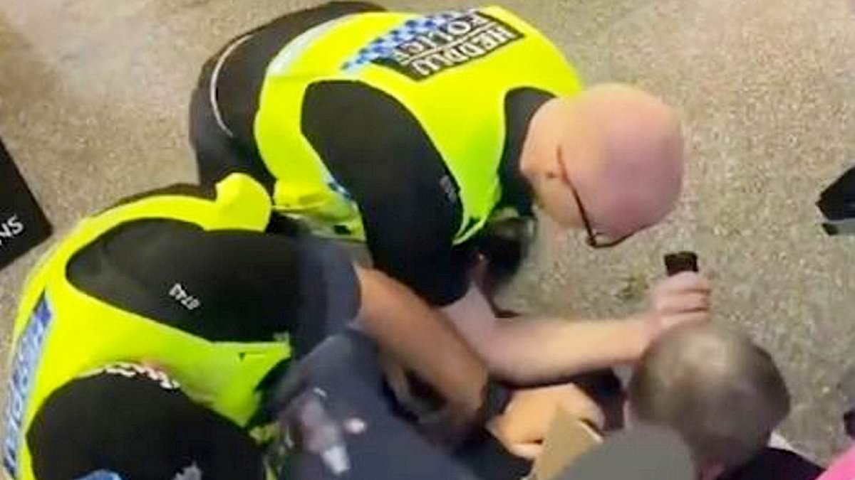 Moment 'thief' is pepper sprayed by police after smashing bottles as he tried to flee Tesco supermarket