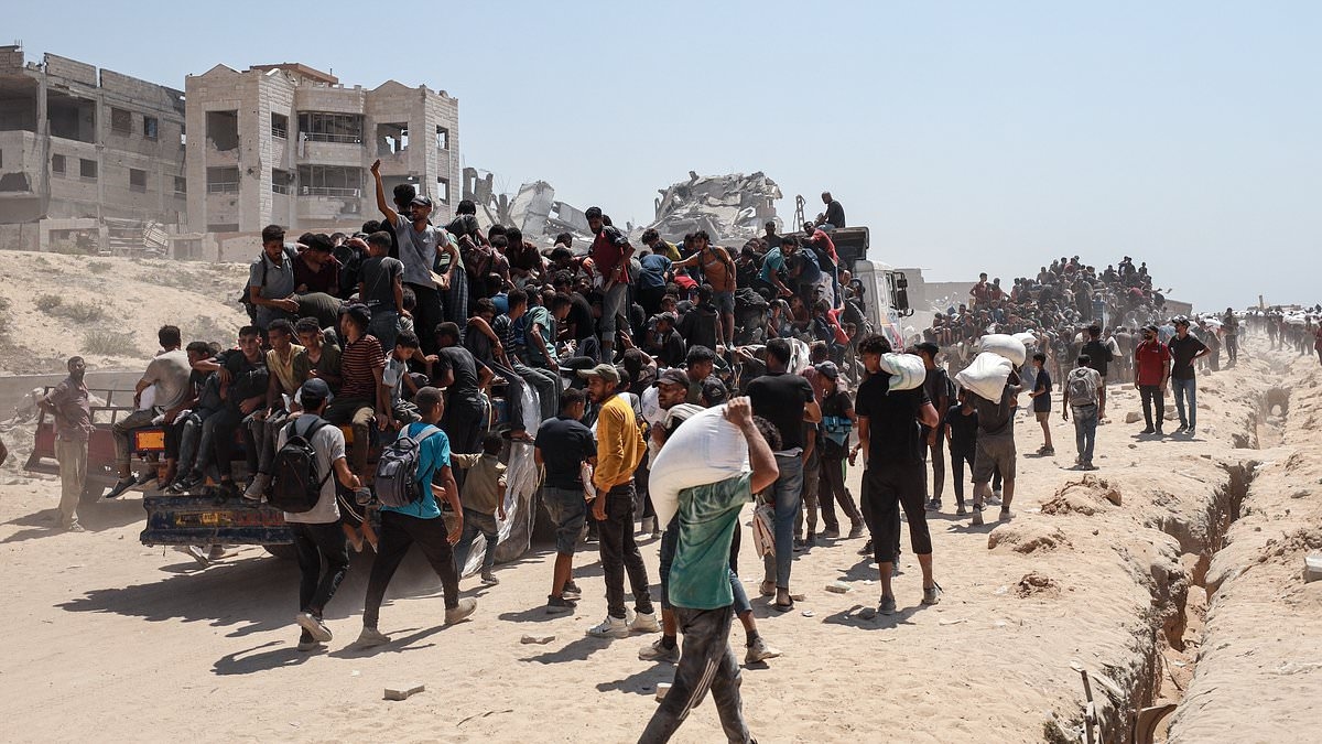 Desperate Palestinians swarm aid trucks in Gaza