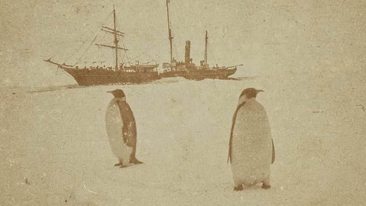 Ernest Shackleton's stranded Endurance expedition crew played 'football with the penguins', unearthed logbook and letters reveal