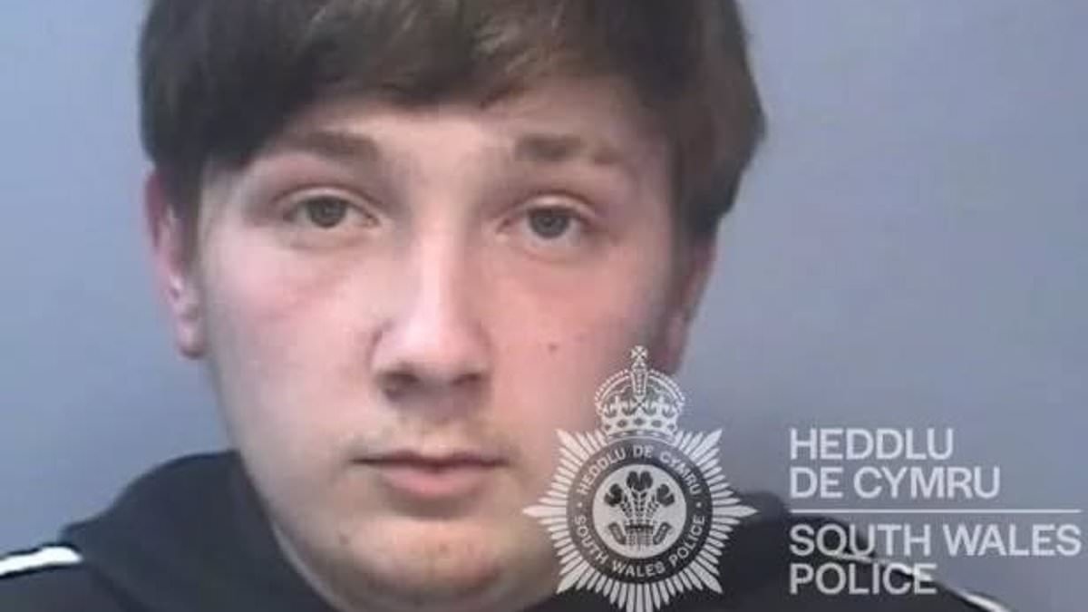 Teen father, 19, blamed pet dog for baby's 'irreparable' brain damage after violently shaking them