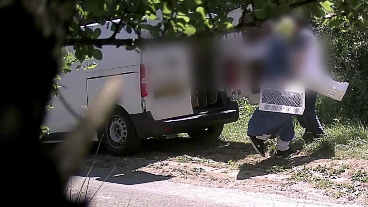 Moment fly-tipping couple are caught dumping piles of rubbish on country road - as pair are fined £3k