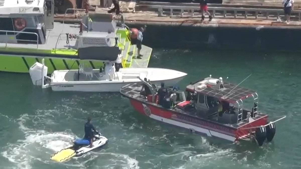 Five children missing as boat sinks in Miami