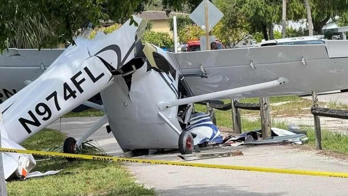 Seven people rushed to hospital after airplane collides with CAR near Florida airport