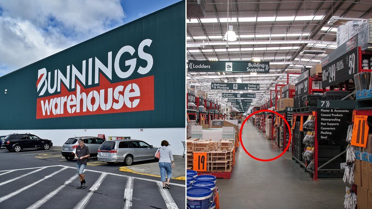Bunnings brings back popular $22.50 item after selling out in just HOURS: 'OMG I need them all'