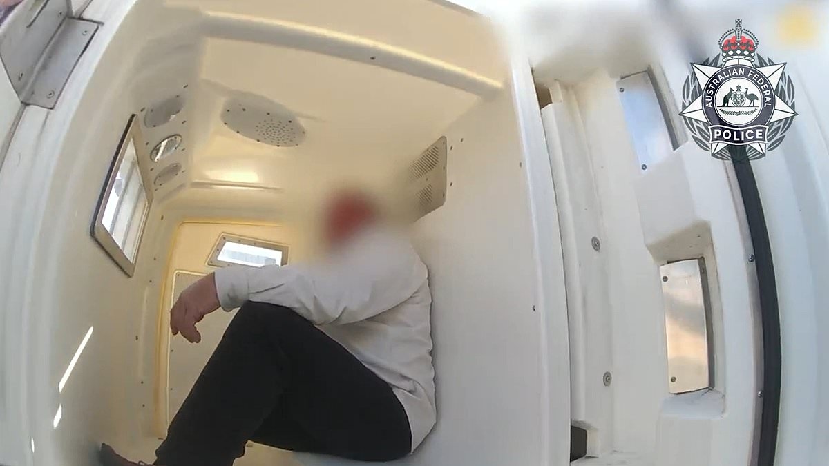 Chaos breaks out on board an airplane as passenger is accused of despicable act after dispute breaks out over the toilet before takeoff