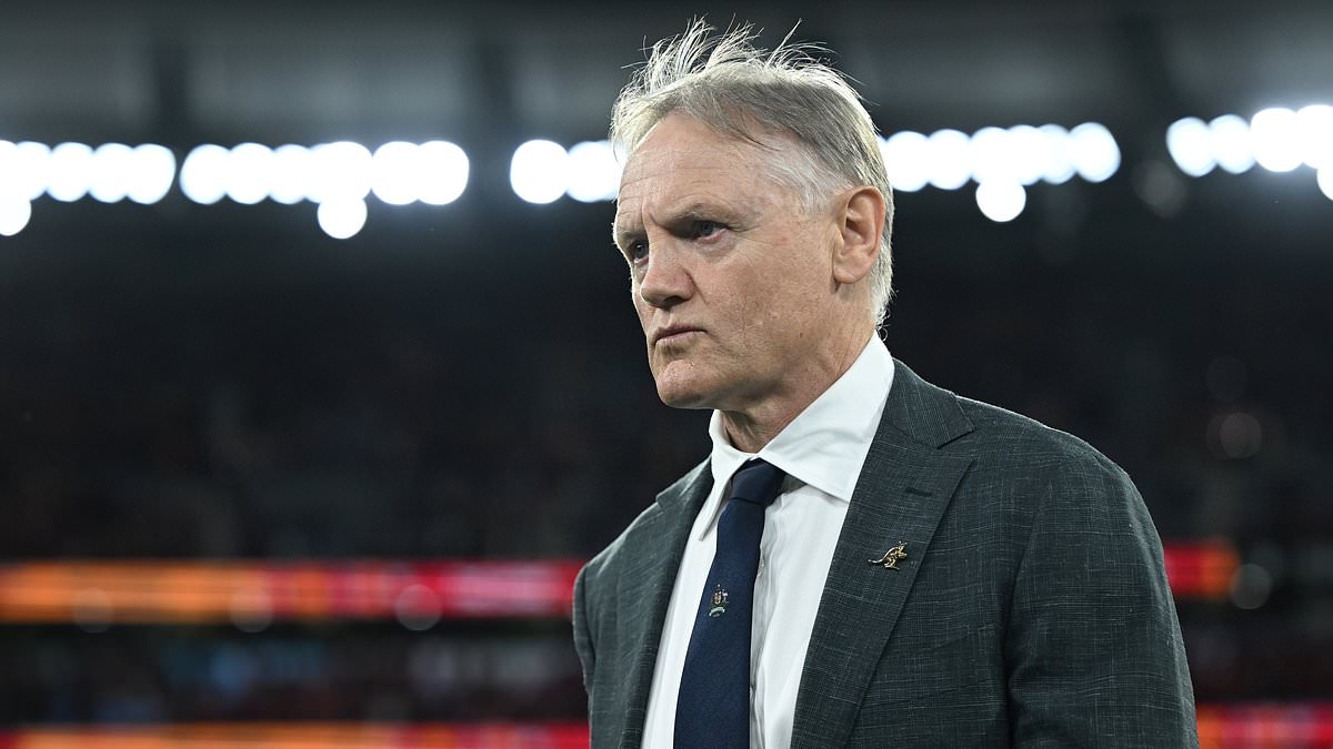 World Rugby hits back at furious Australia's referee complaints following controversial flashpoint during British and Irish Lions Test