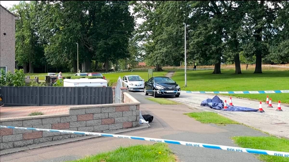 XL Bully owner, 51, is rushed to hospital after attackers killed his dog in park - as police probe 'attempted murder'