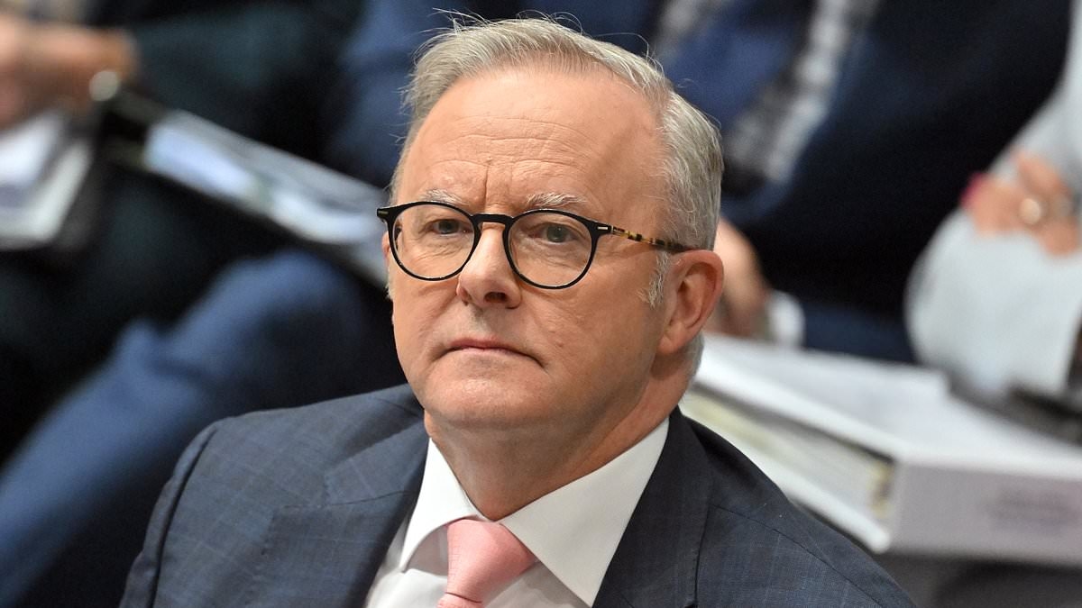 Albanese government confirms whether YouTube will be allowed for under 16s as part of social media ban