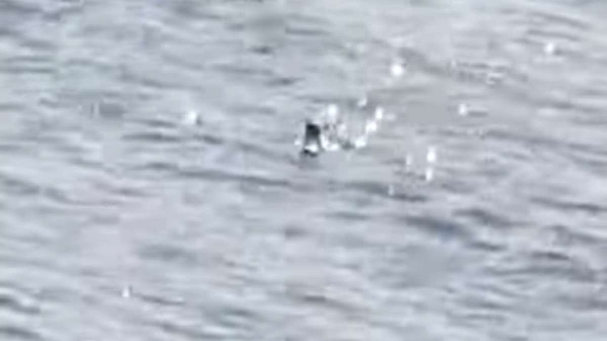 Loch Ness monster hunter is STUNNED as 'Nessie's head' is filmed rising and sinking out the water