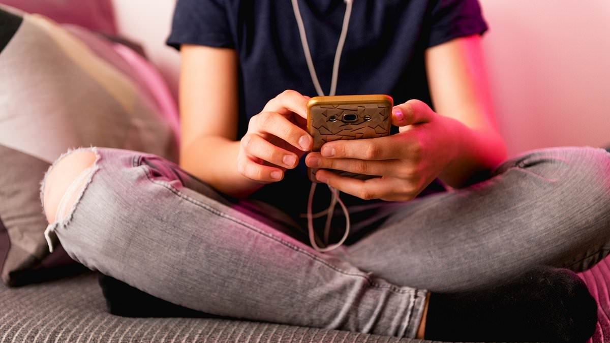 DANIEL HANNAN: The Online Safety Bill will make us less happy, wealthy and free - and this fit of moral panic won't stop tech-savvy teens