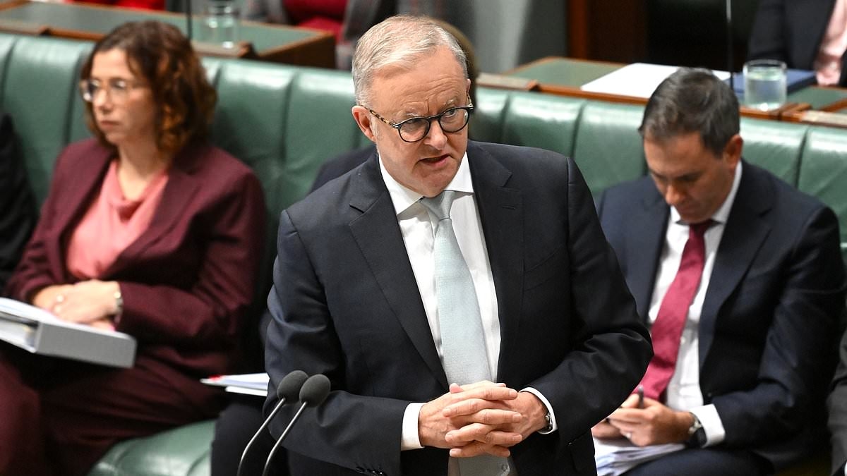 Ben Fordham tears into Anthony Albanese over major shutdown that could leave Australia at China's mercy