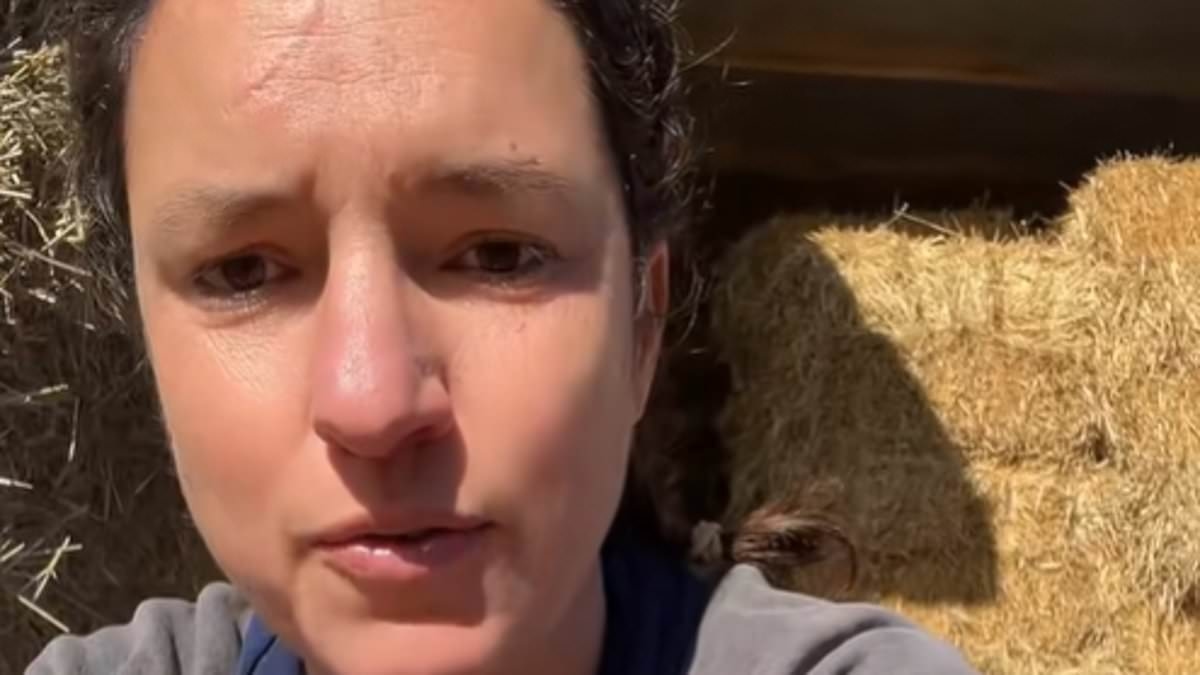Aussies revolt as American beef makes a quiet return to Australia