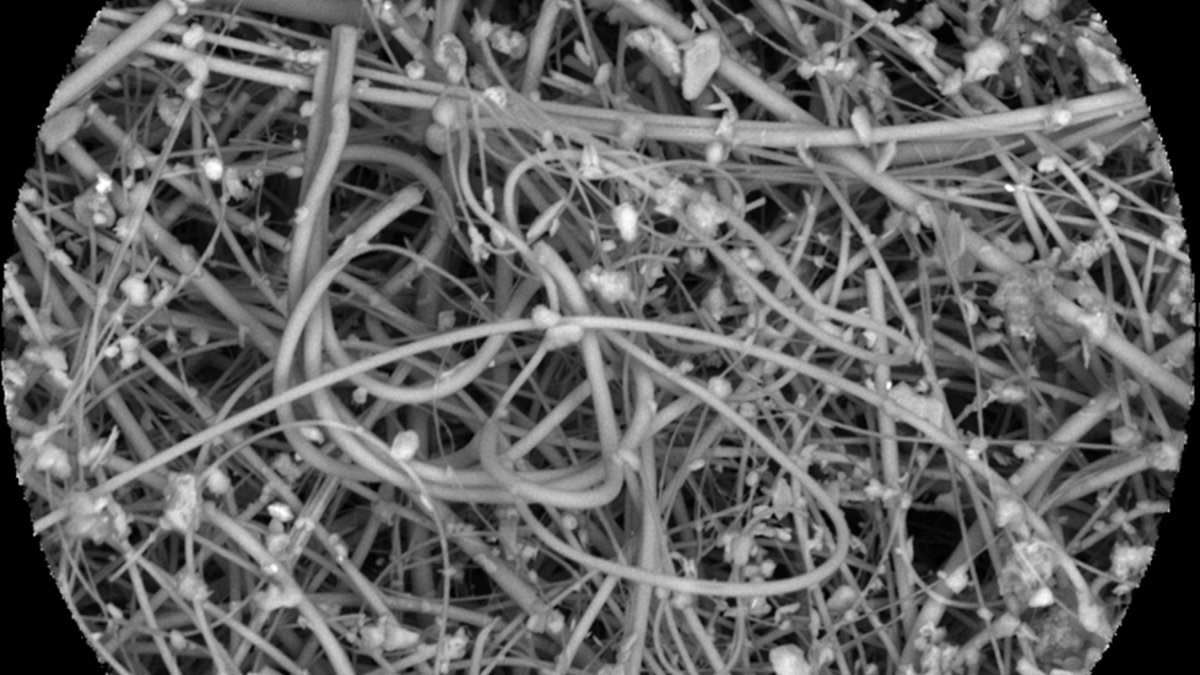 Scientists reveal exactly how many microplastic particles we inhale in our homes and cars every day – it's 100 times MORE than previous estimates