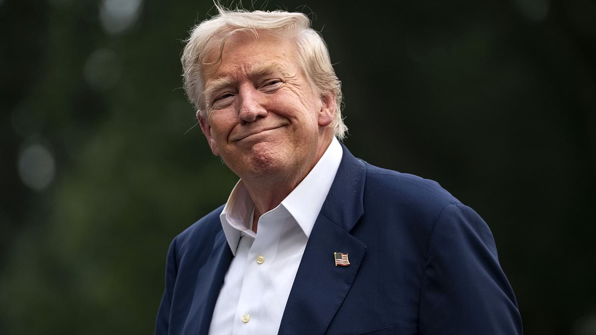 How families could get $2,400 rebate checks from Trump's tariffs