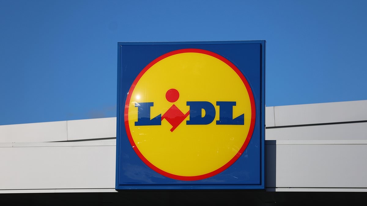 People left delighted after spotting a 'hidden' animal in Lidl's logo - but can YOU find it?