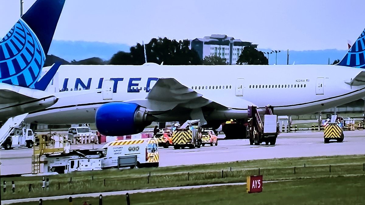 United Airlines plane makes 'emergency landing' at Heathrow amid reports of smoke in the cabin