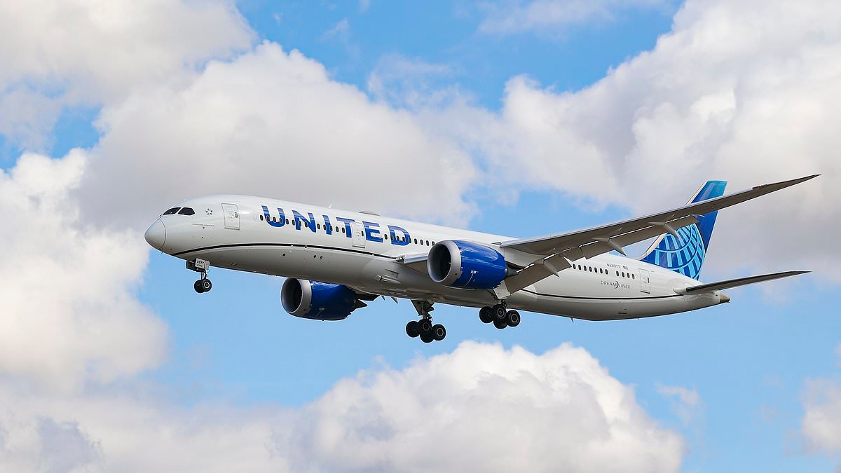 United Boeing 787 Dreamliner forced to land minutes after taking due to ENGINE FAILURE
