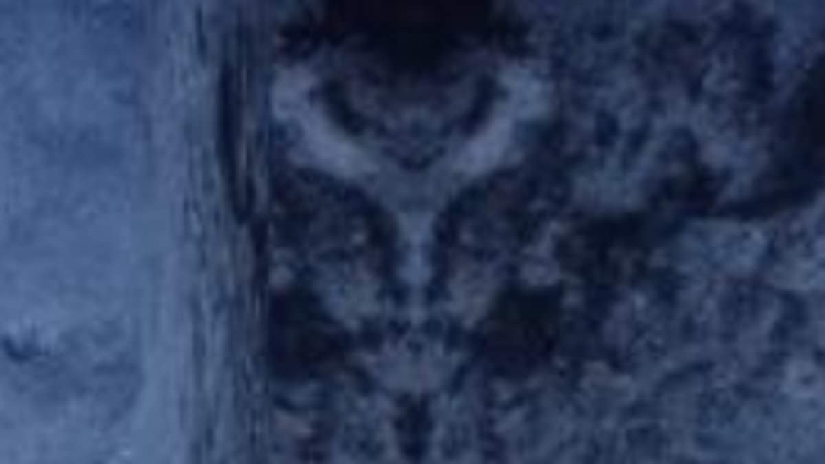 Google Maps users are baffled after spotting a mysterious FACE on a mountain top in Chile - as one claims it could be an 'alien base'