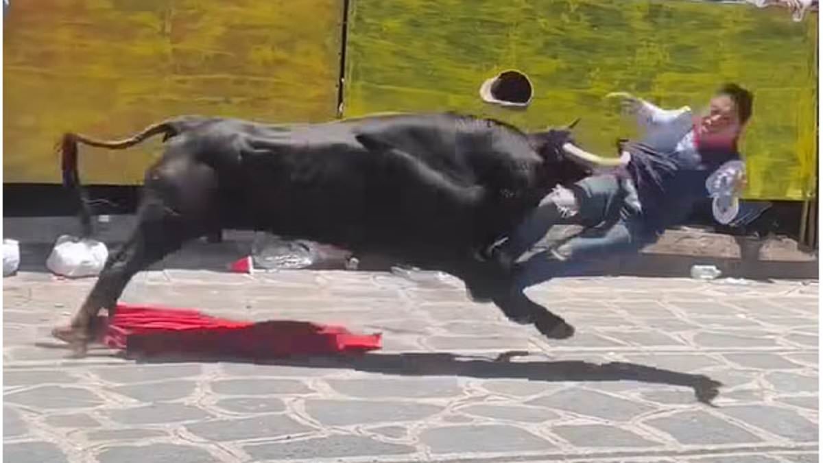 Gruesome moment bullfighter is sent flying by furious beast as howling mob looks on