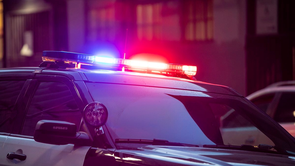 Virginia lawmaker is doused with gas and set on FIRE at magazine where he works