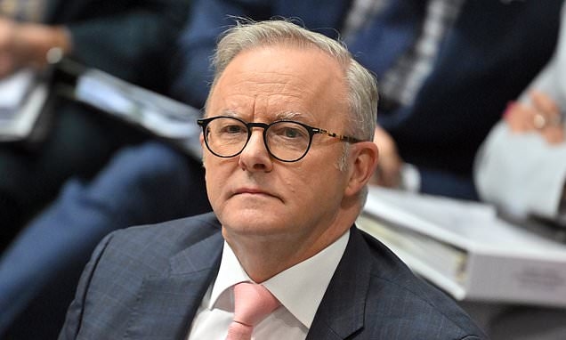 Opinion: Albanese's unprecedented act of political ruthlessness
