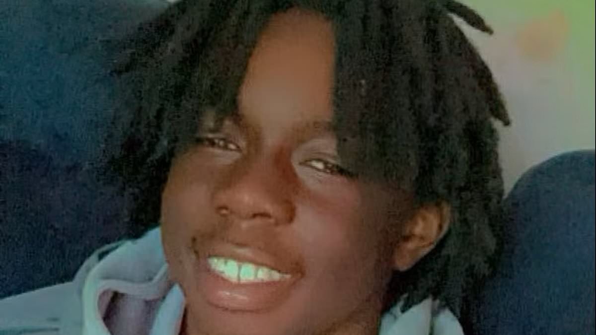 Tragic pals, aged 14 and 15, were murdered in gangland machete attacks just months apart