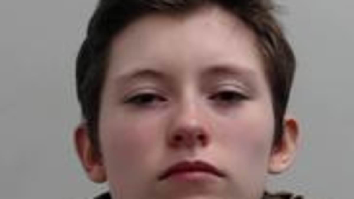 Neo-Nazi teen, 18, who plotted Columbine-style high school shooting is jailed for six years