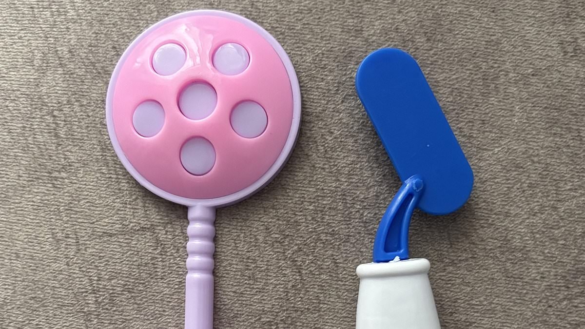 I bought a children's toy, but the instructions were in Chinese...can you figure out what it is supposed to be?
