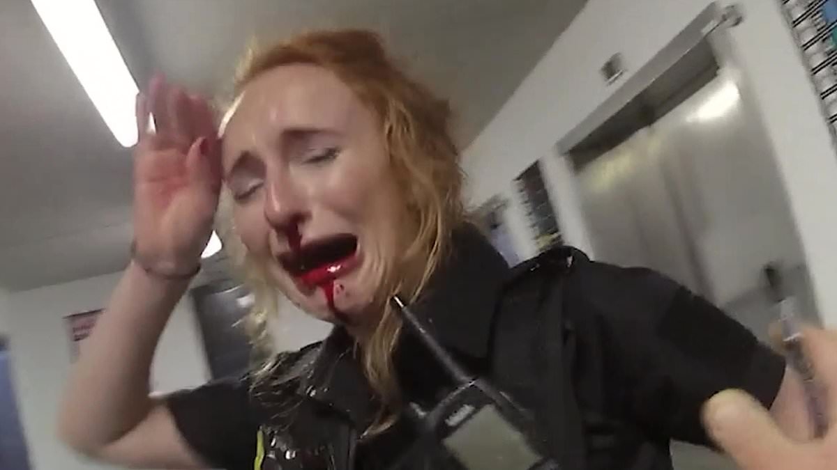 'We are bloodied and we are bruised' Police chief praises officers who put themselves in 'harm's way' during brutal Manchester Airport brawl and thanks public for their support - as student, 20, is convicted of assault