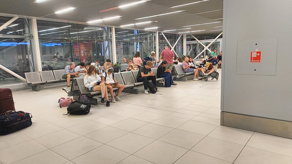 'My wife and kids face a sleepless night on an airport floor': Stranded Brits tell of chaos after ALL flights leaving the UK were grounded - as mystery remains over cause of 'glitch'