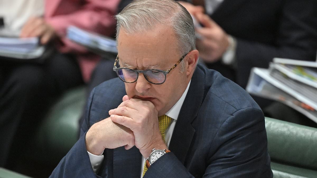 Billionaire issues warning to Australia over AI