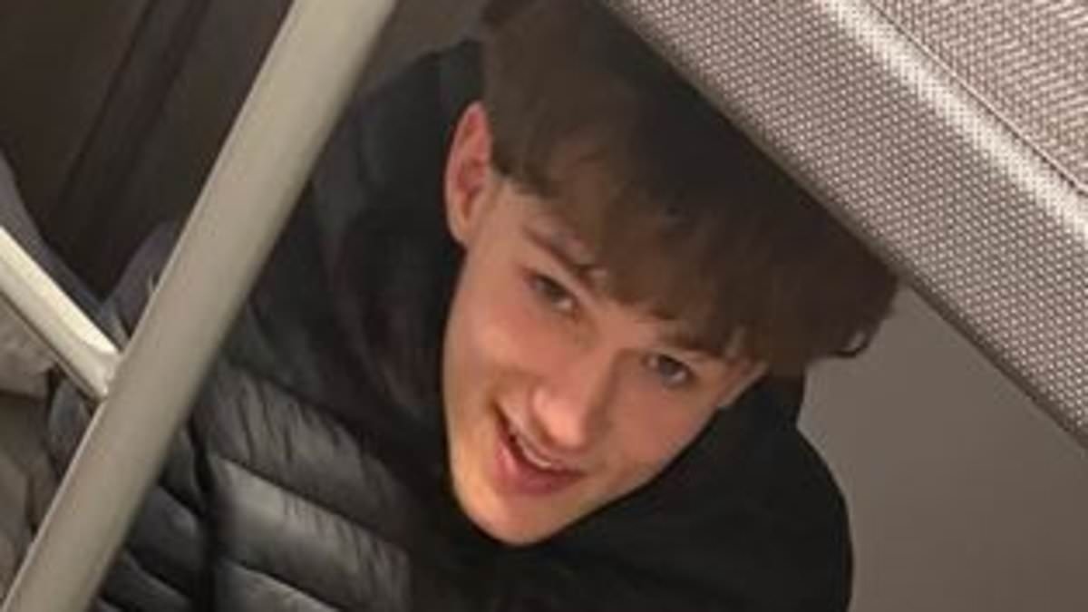 Unmasked: Gang of boys who stabbed 18-year-old to death with a Rambo knife are pictured for the first time